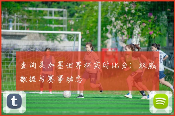 查询美加墨世界杯实时比分：权威数据与赛事动态