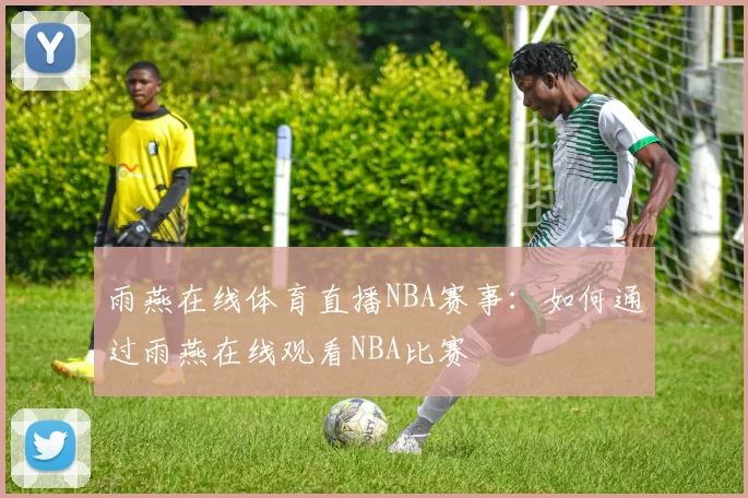 雨燕在线体育直播NBA赛事：如何通过雨燕在线观看NBA比赛