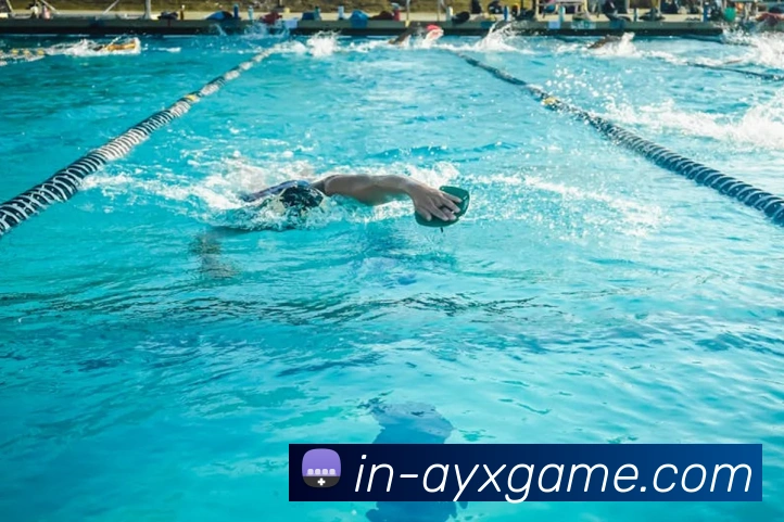 多媒体互动体验